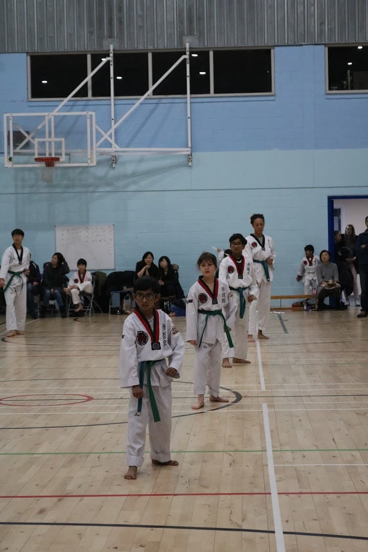 Wild Tigers Taekwondo, Hapkido Walton-on-Thames 5