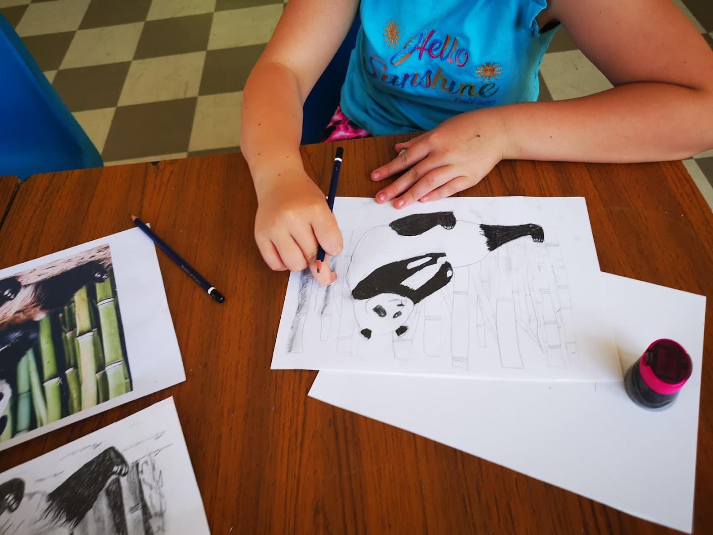 Cygnets Art School Caterham