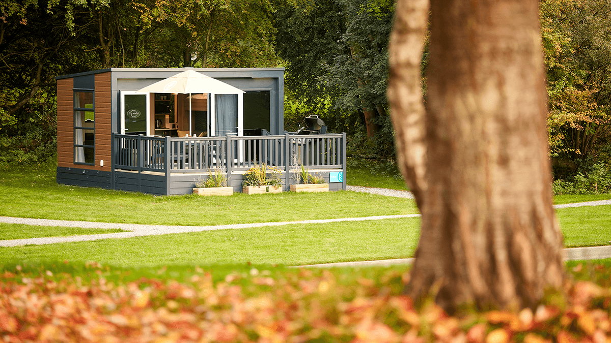 Alderstead Heath Caravan and Motorhome Club Campsite