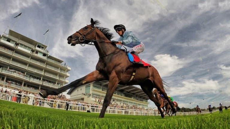 Epsom Downs Racecourse