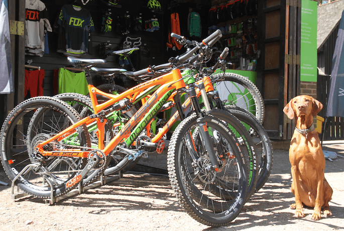 Swinley Bike Hub Swinley Forest's Trail Centre