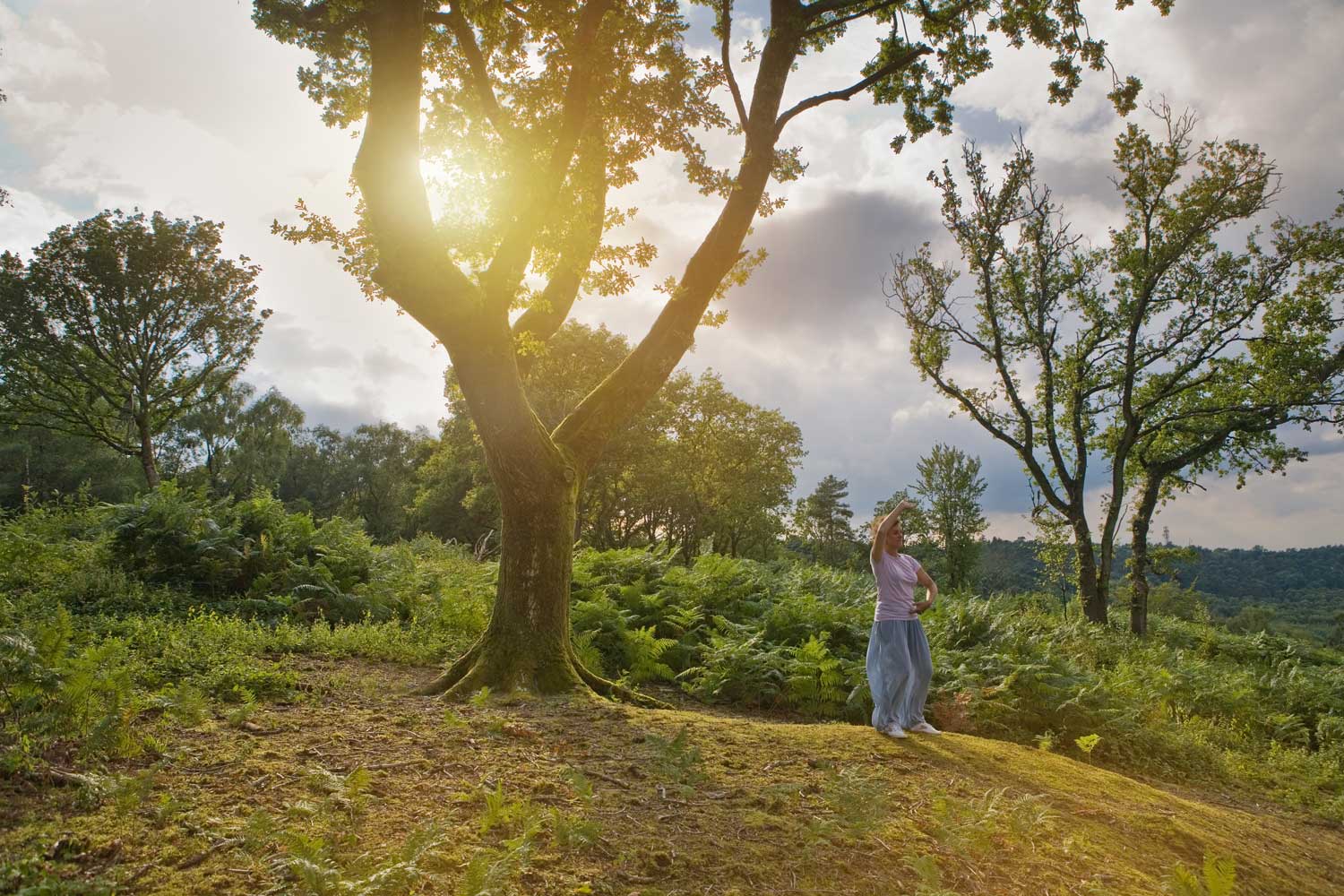 Surrey Hills Tai Chi