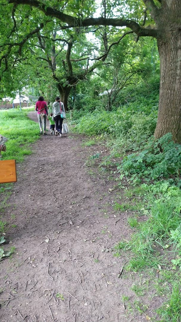 Roaming Wild Forest School