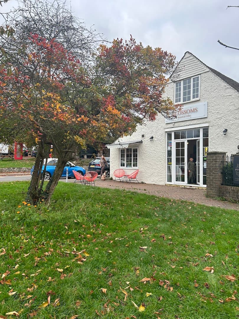 Blossoms Brunch & Coffee 5