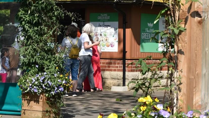 The Little Green Boat Company