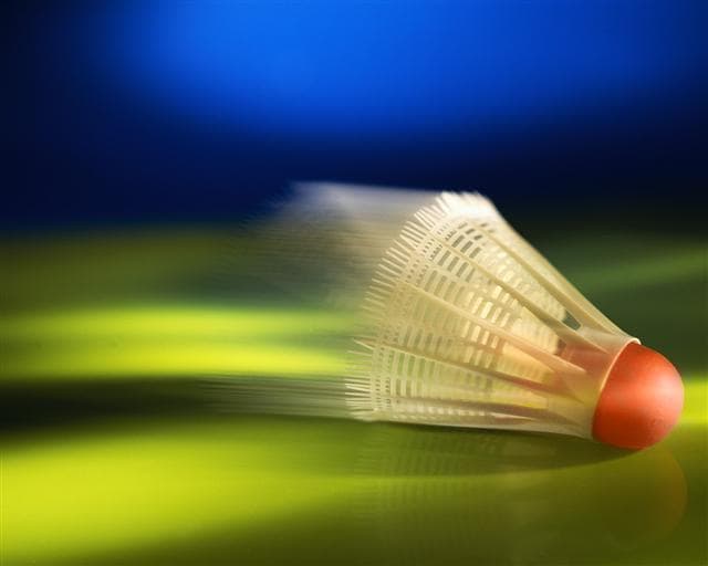 Hurtmore Badminton Club