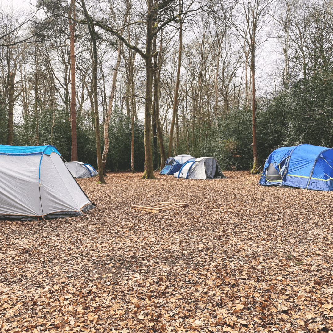 Earleywood Scout Campsite 2