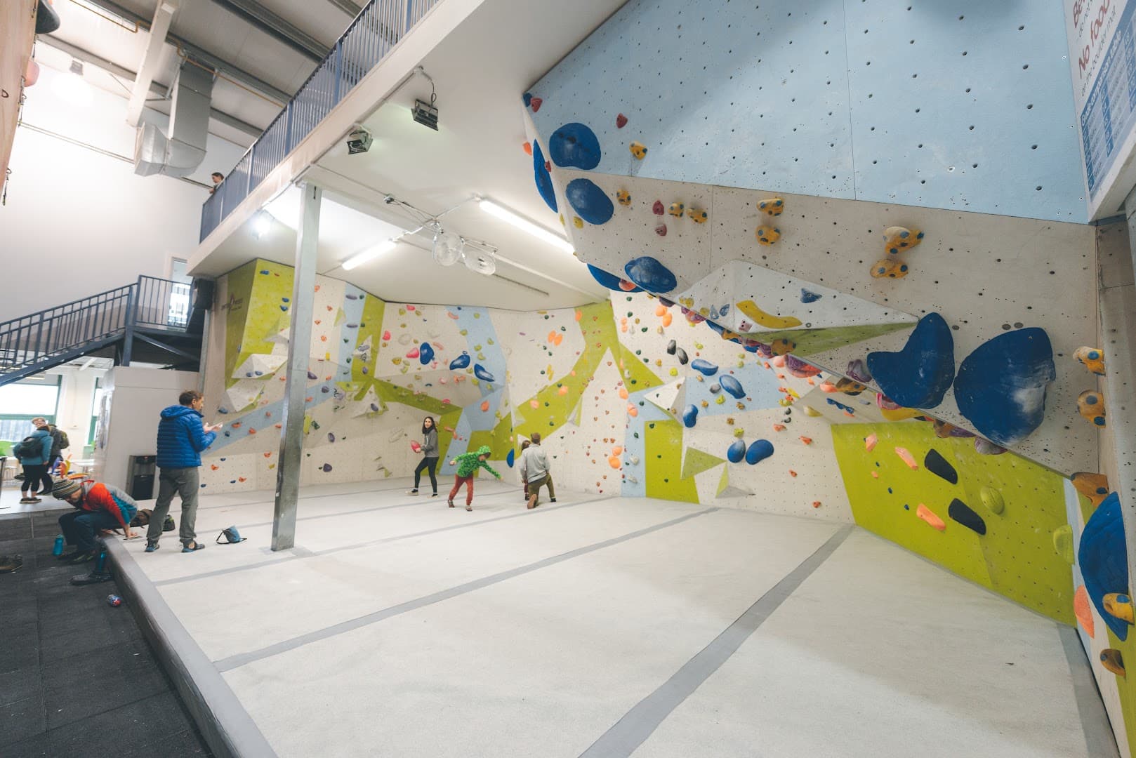 Blue Spider Climbing