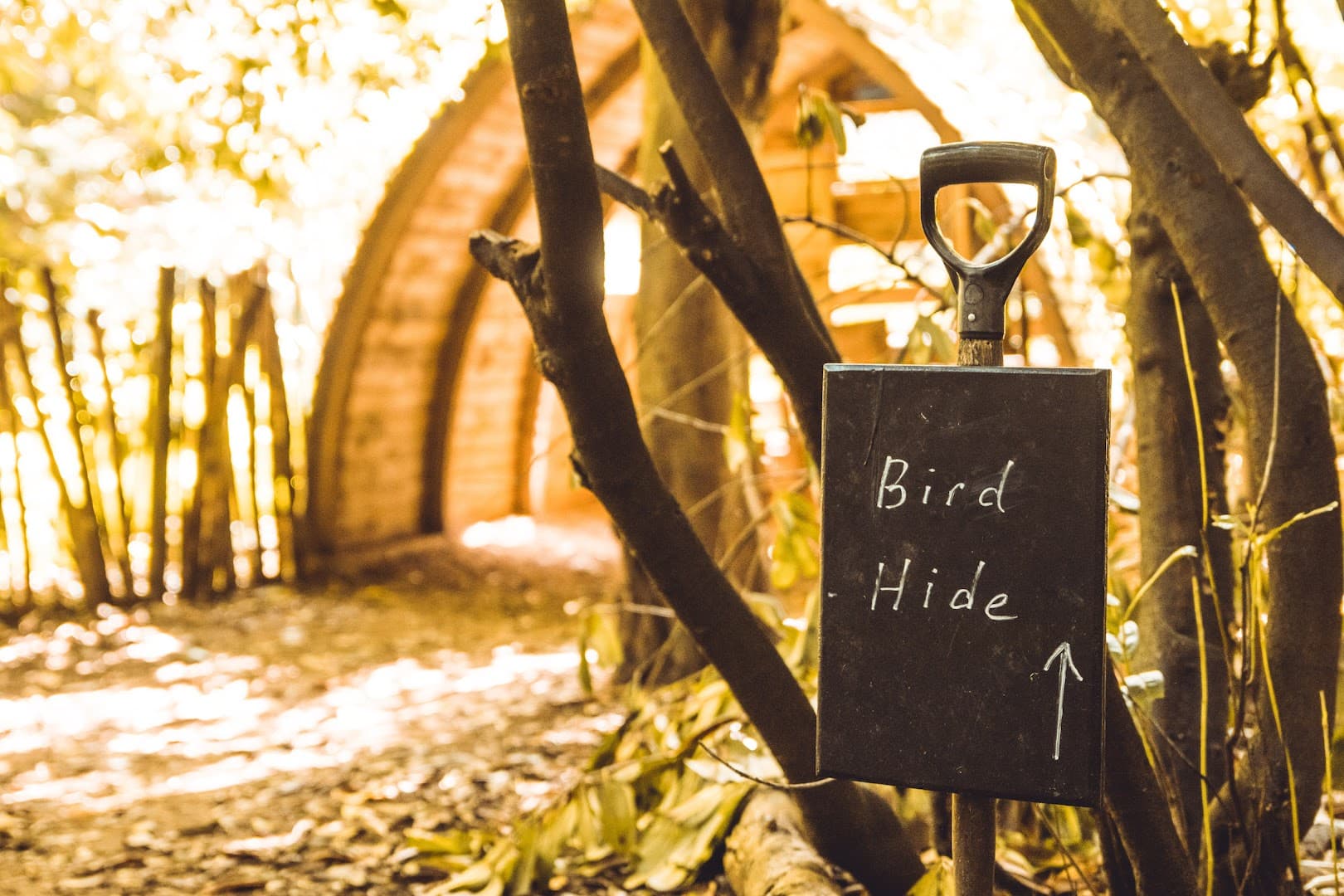 Embers Camping - Polesden Lacey 9