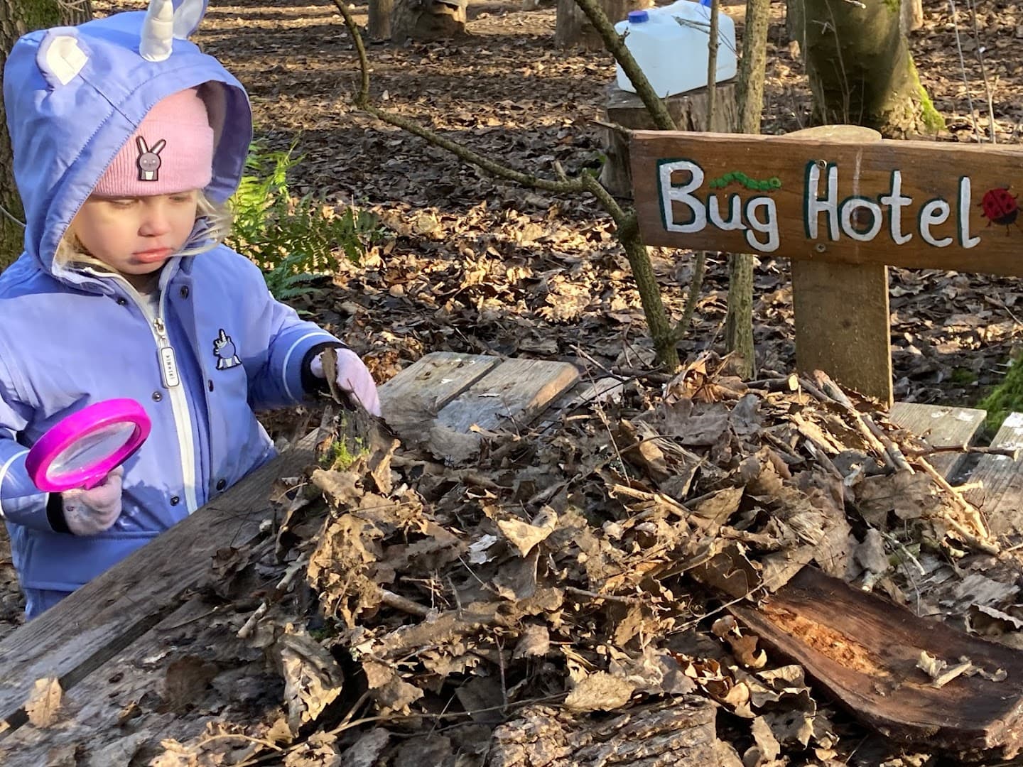 Little Squirrels Forest School at High Ashurst 10