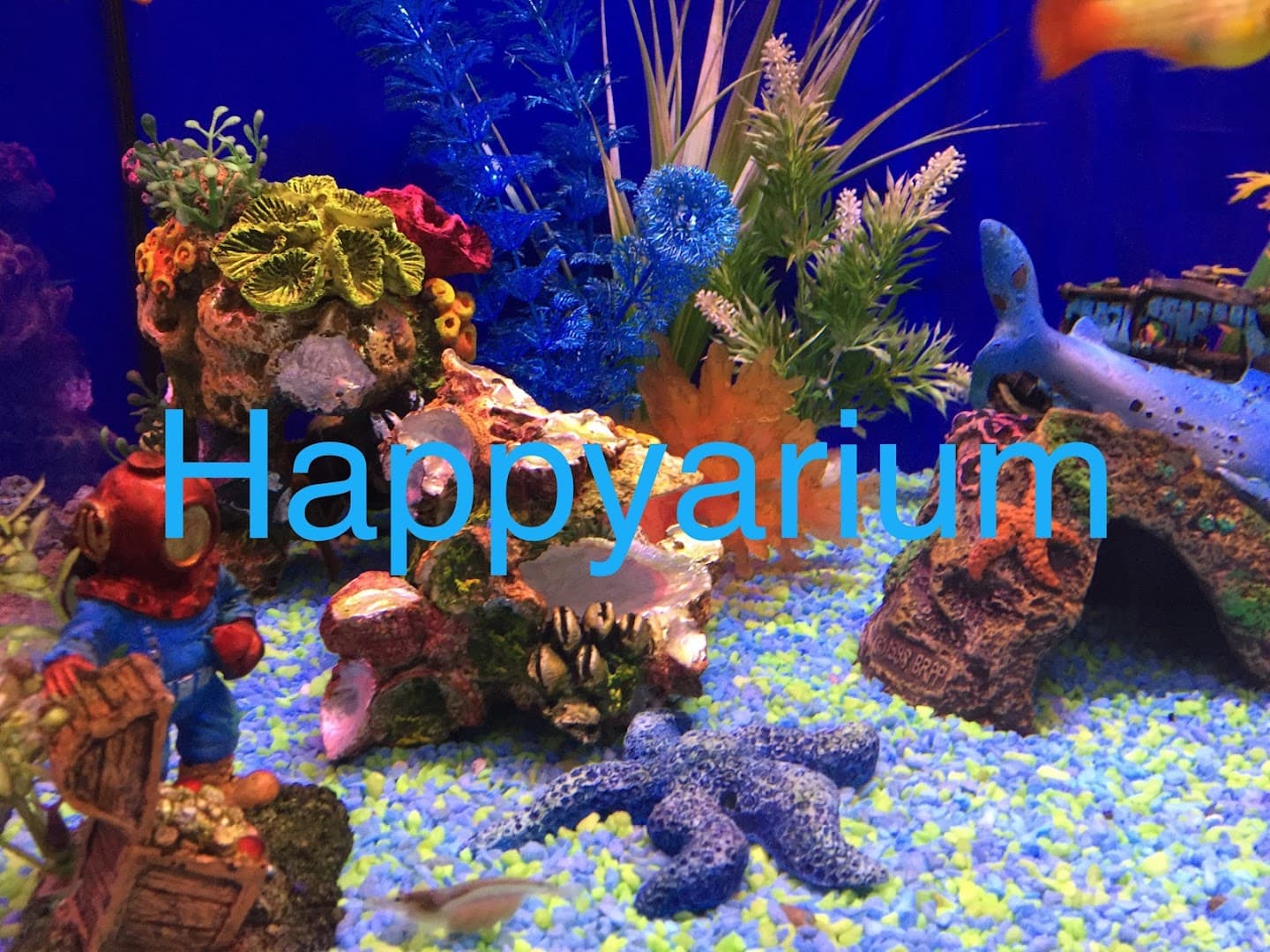 Happyarium - Cobham 2