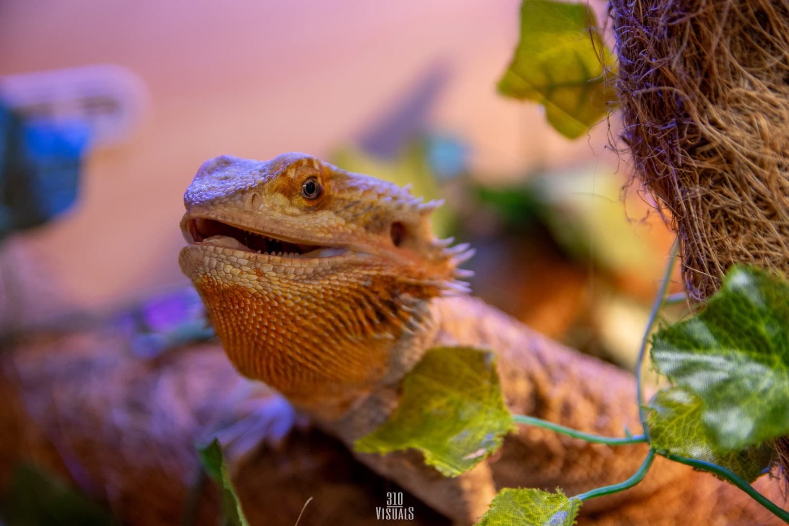 Manor Farm Experiences 3