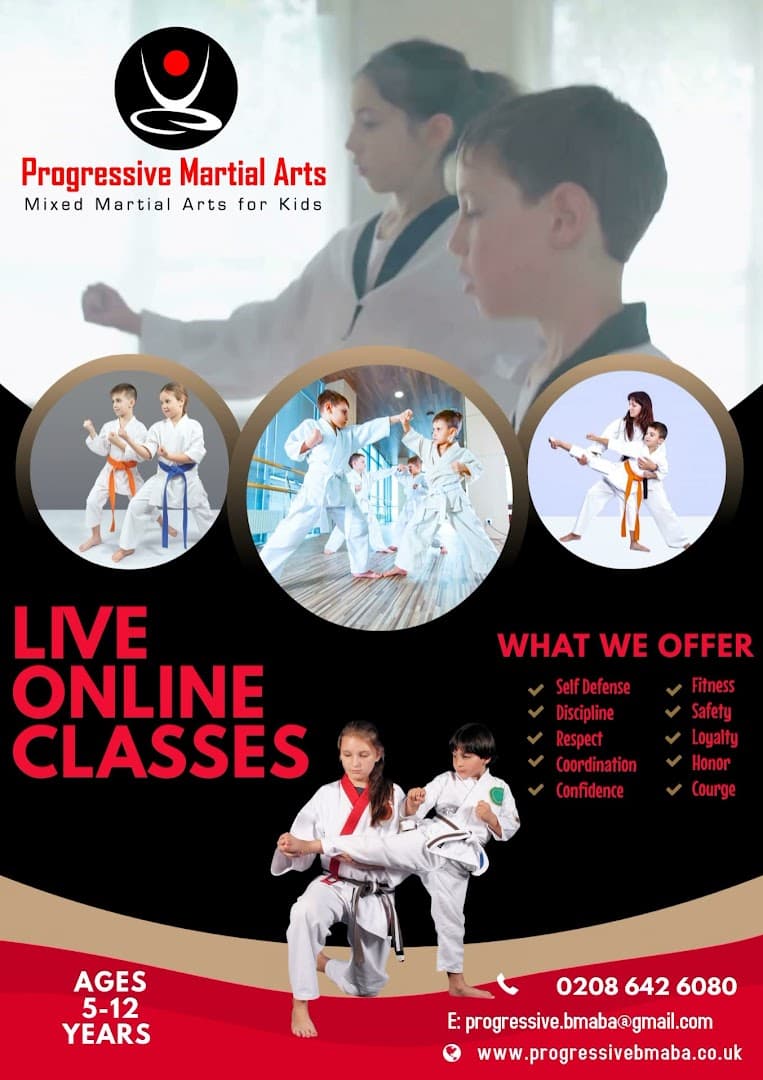 Progressive Martial Arts Ltd