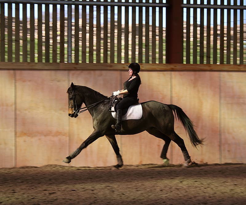 The Kiln Equestrian Centre