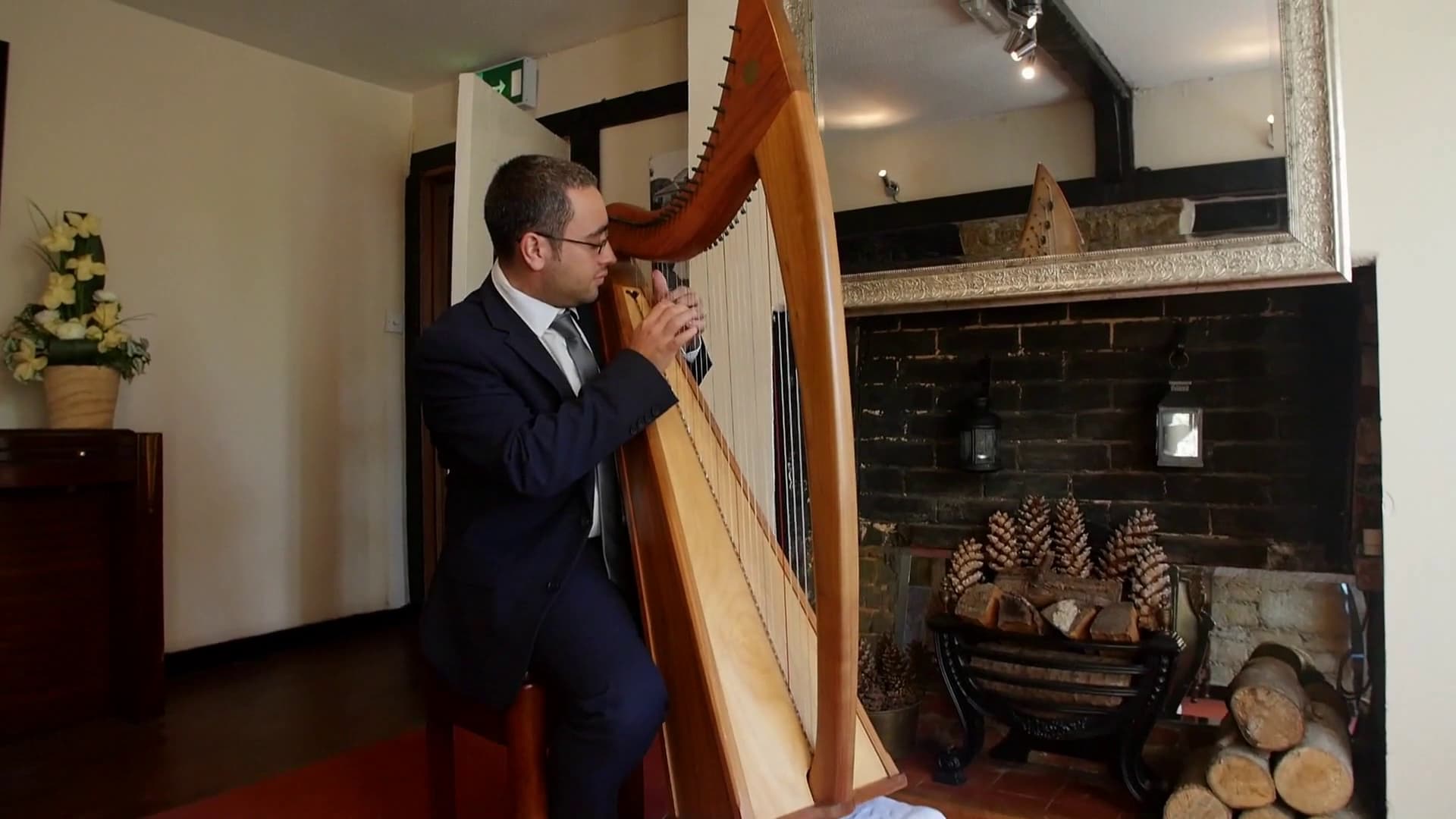 Mark Levin Harpist
