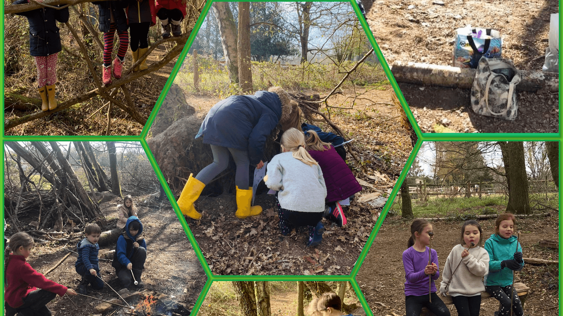 Minibeasts Woodland Explorers Forest School