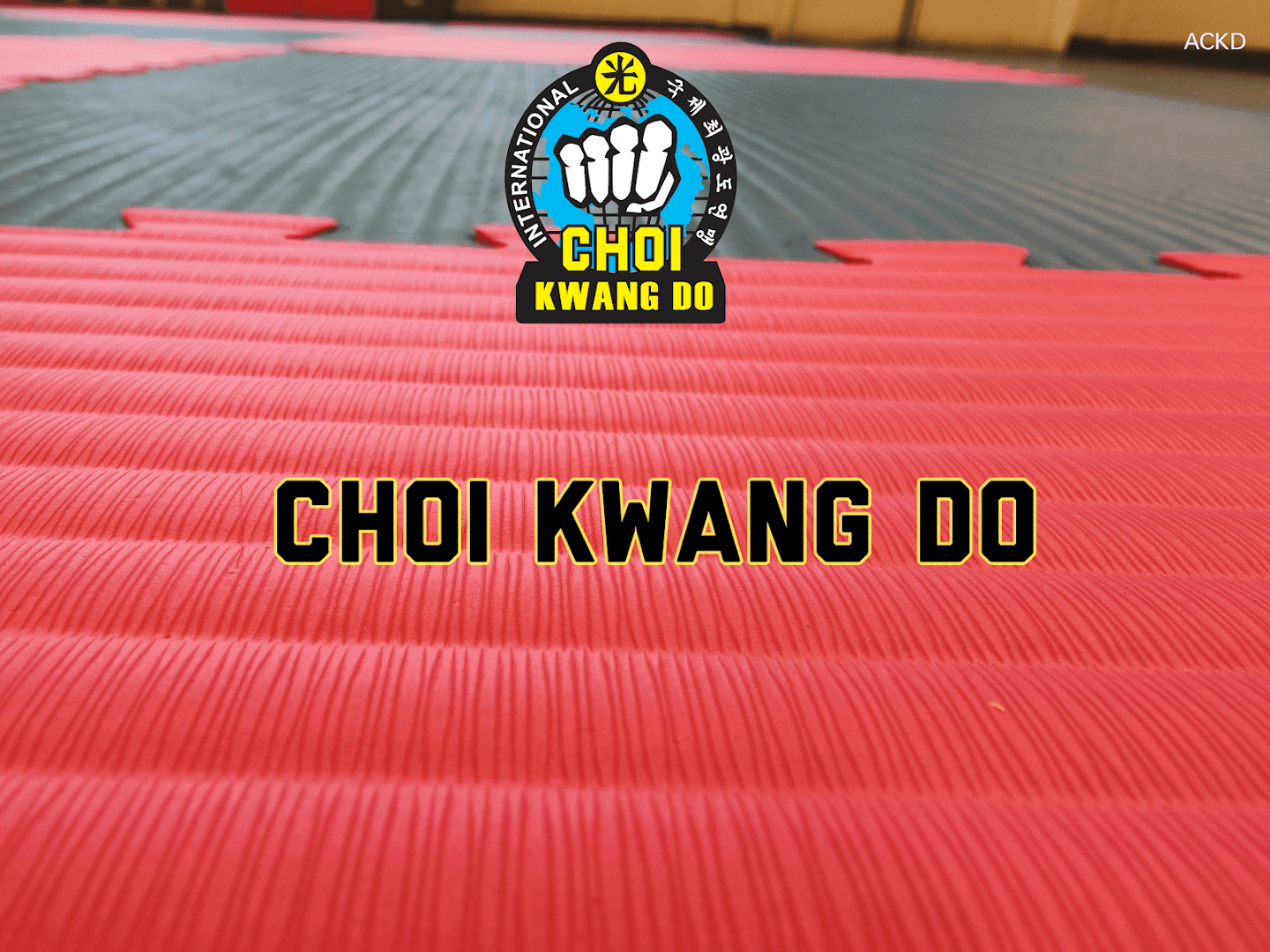 Adapt Choi Kwang Do