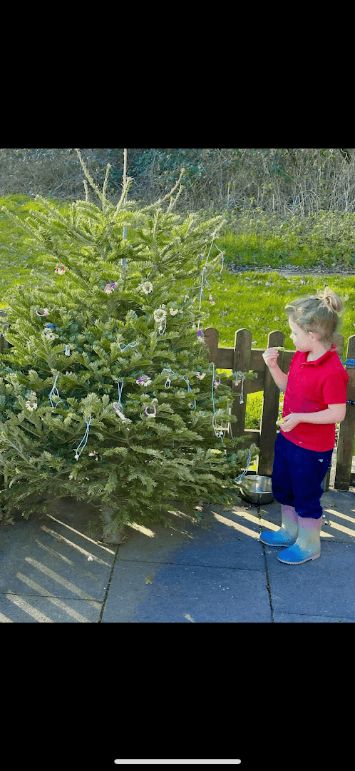 Wood Street Nursery and Forest School 6