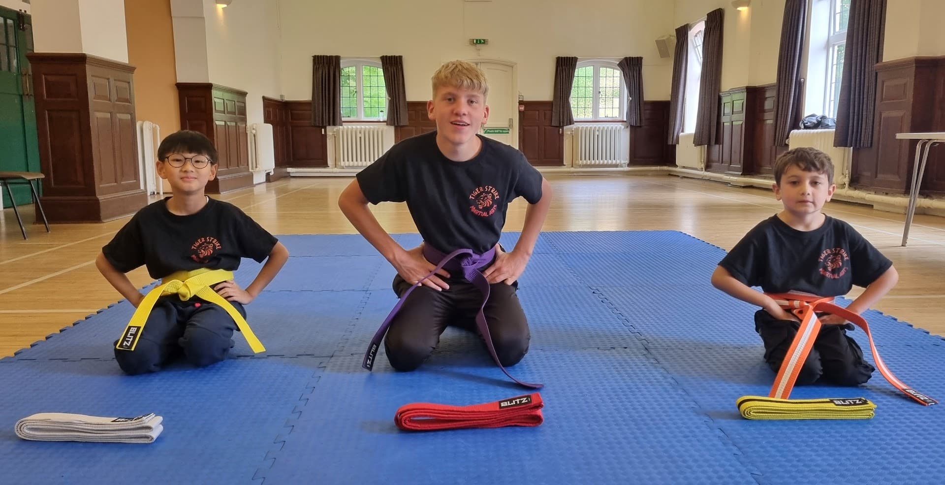 Tiger Strike Martial Arts 3