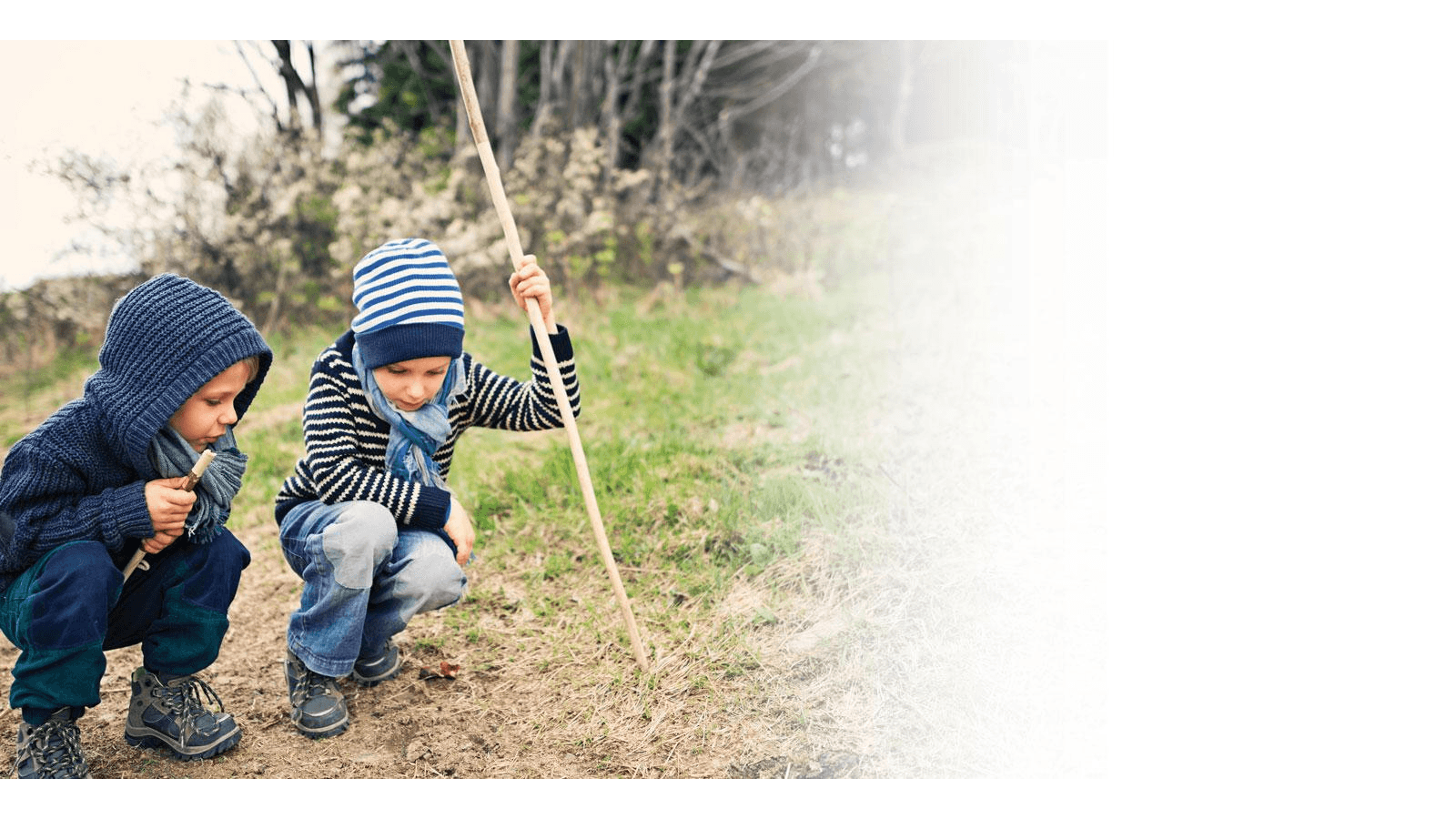 Friends Forest Nursery Shere