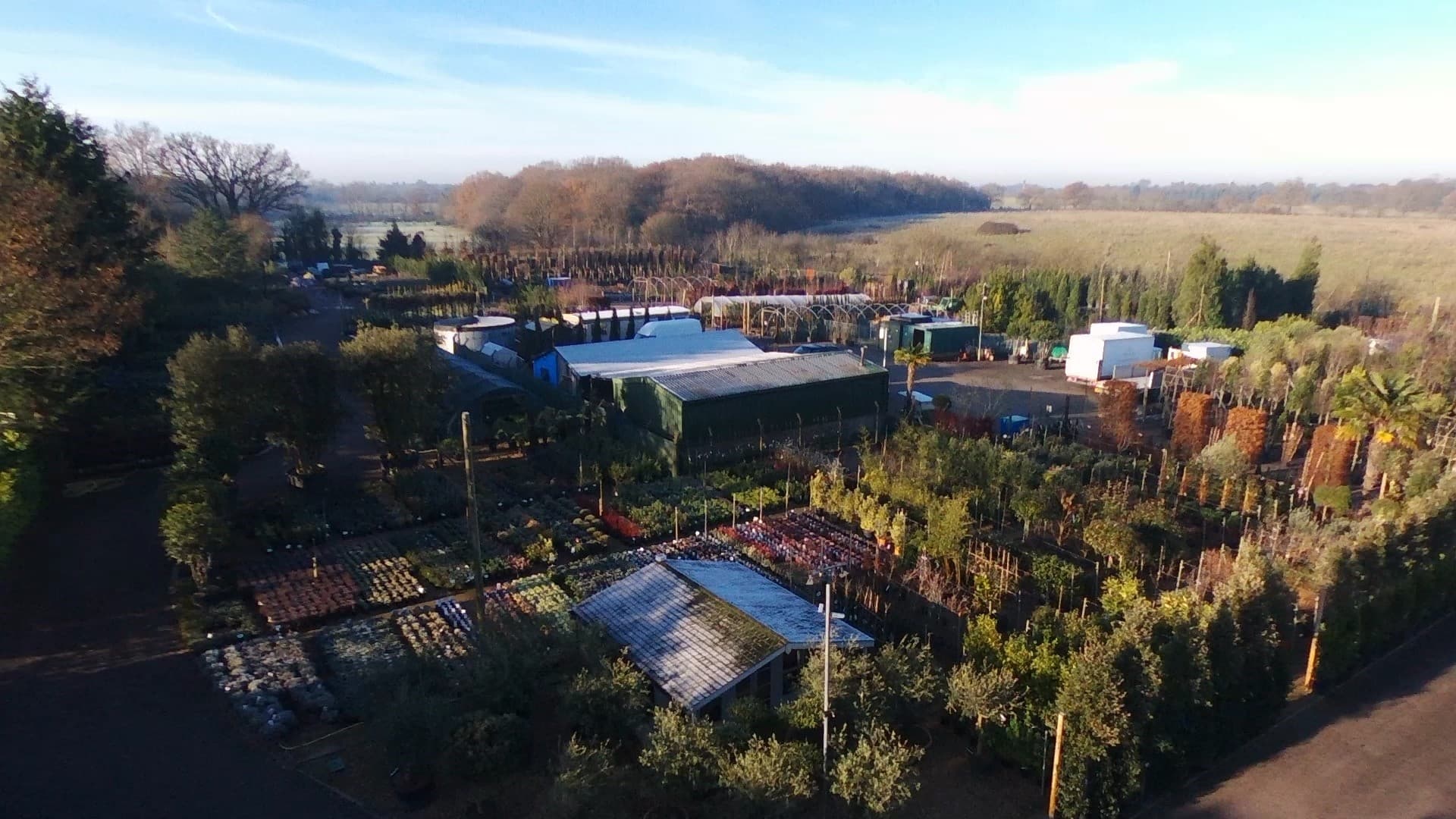 Creepers Wholesale Nursery 3