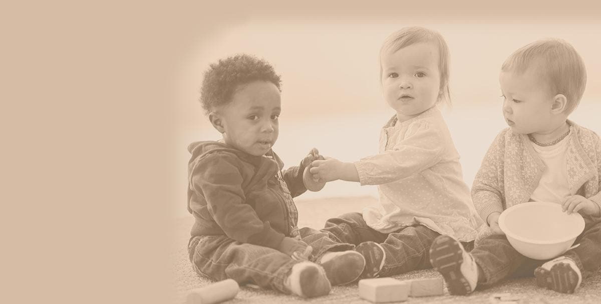 Friends Forest Nursery Shere 7