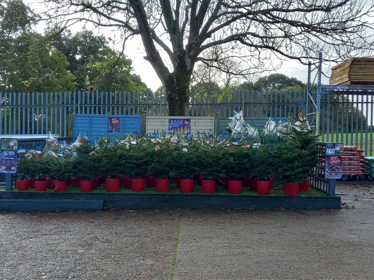 Mole Country Stores 4