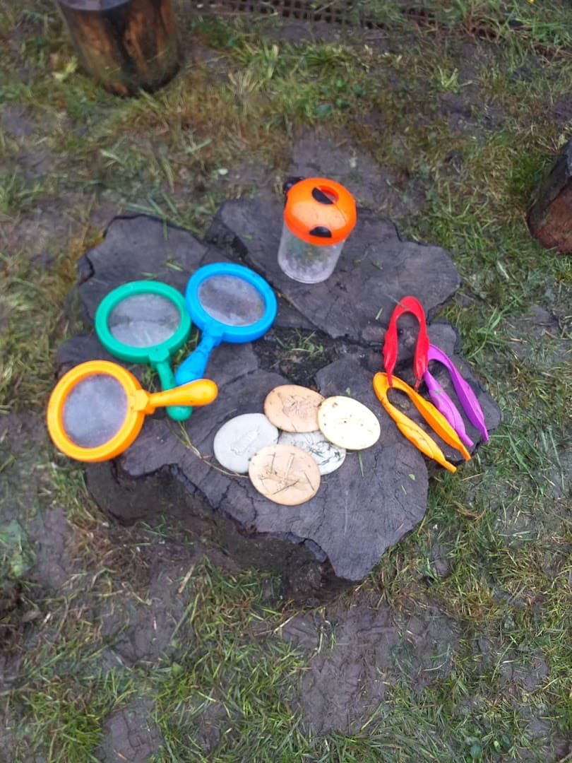 Friends Forest Nursery Ash 7