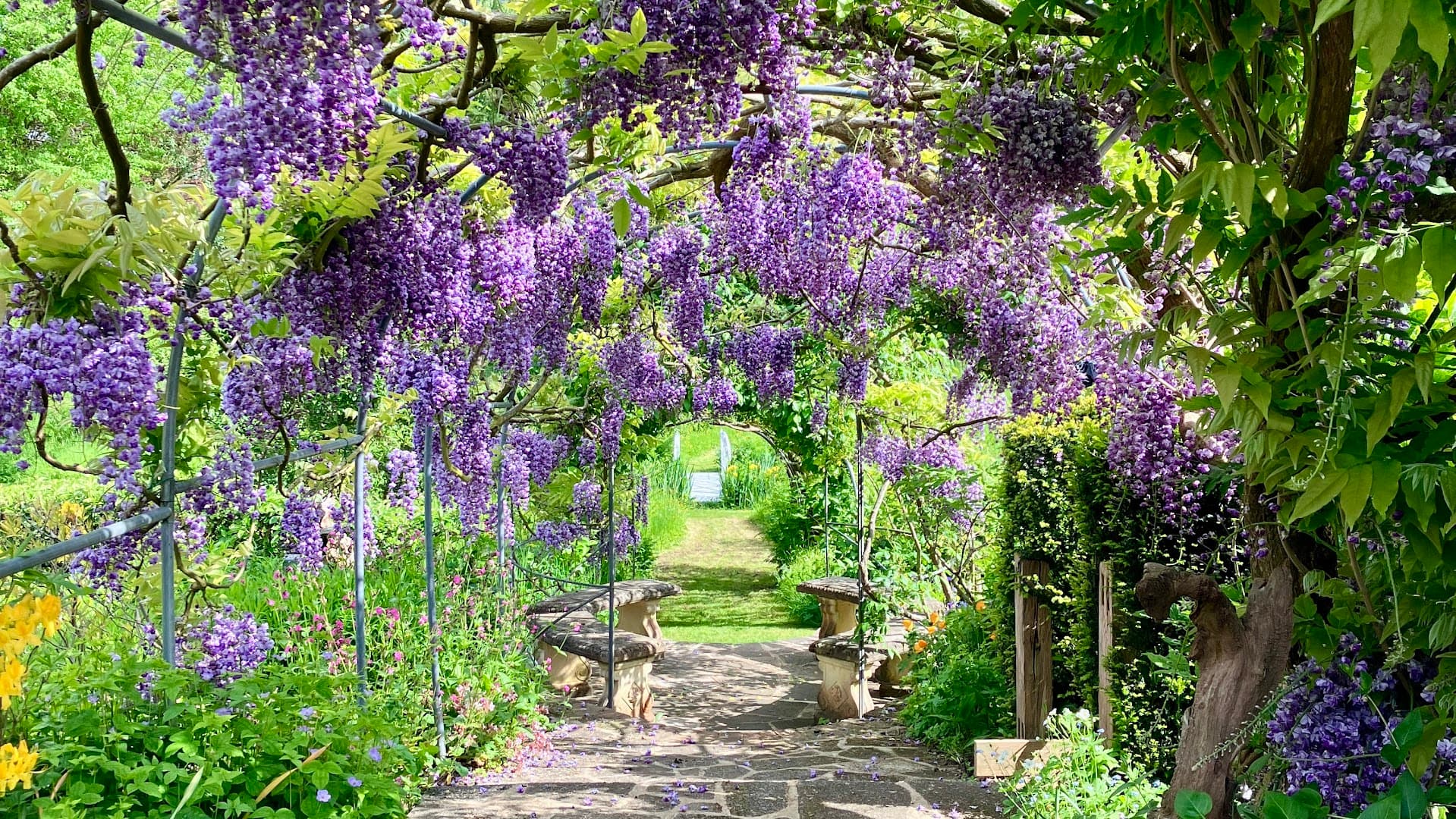 Tilford Cottage Garden