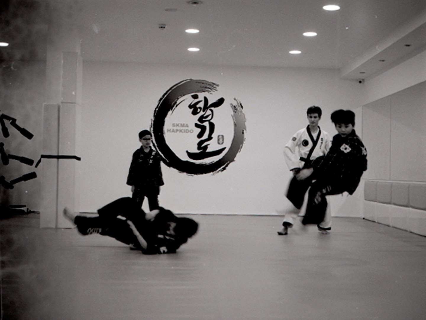 SKMA Hapkido (School of Korean Martial Arts) 3