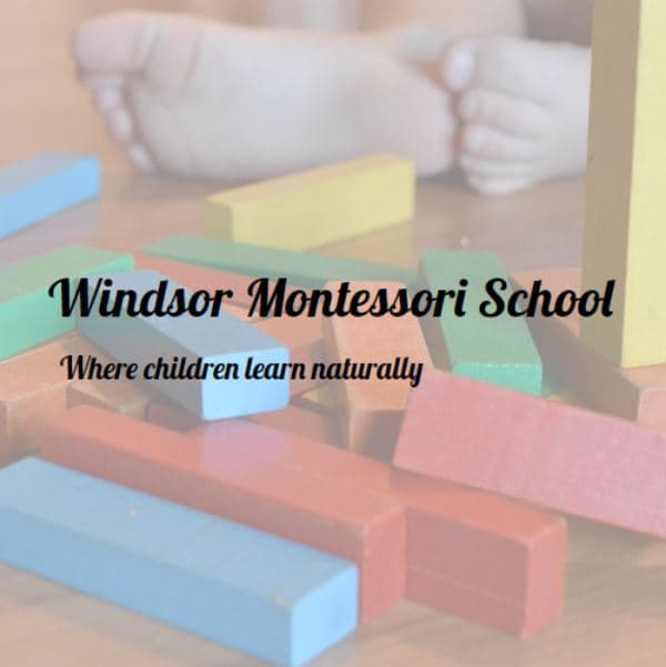 Windsor Montessori School House of Children 3