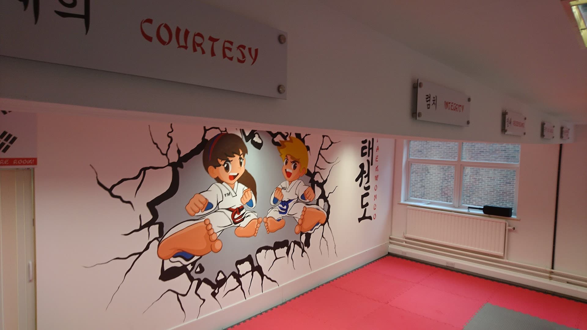 Miles Marial Arts (Taekwondo) Reigate