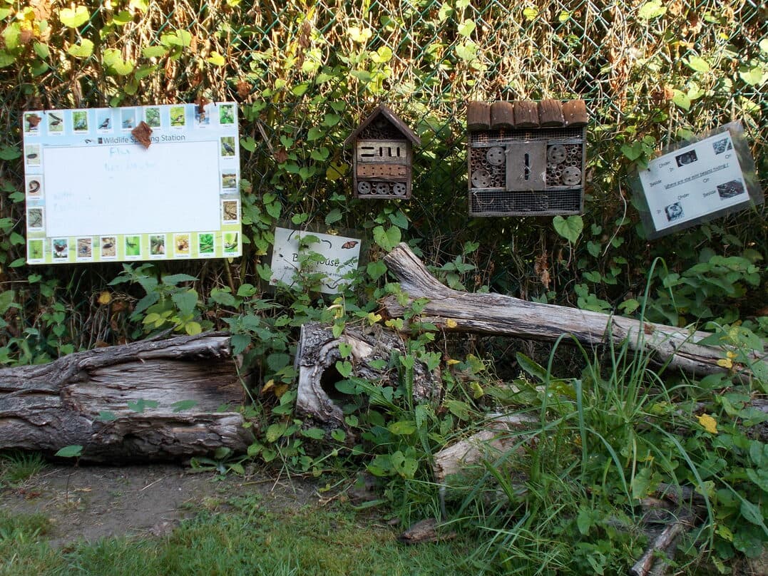 Frimley Green Pre-School 10