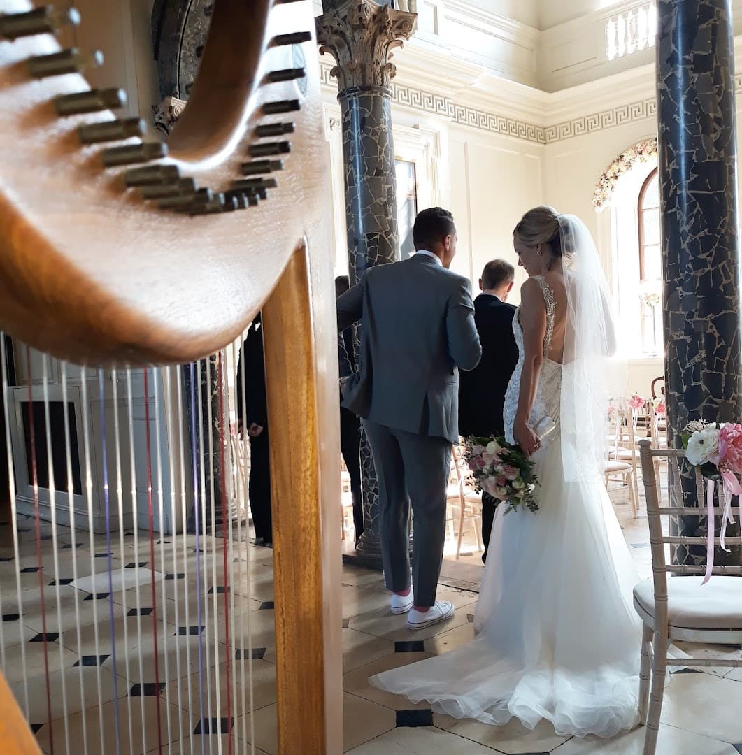 Mark Levin Harpist 2