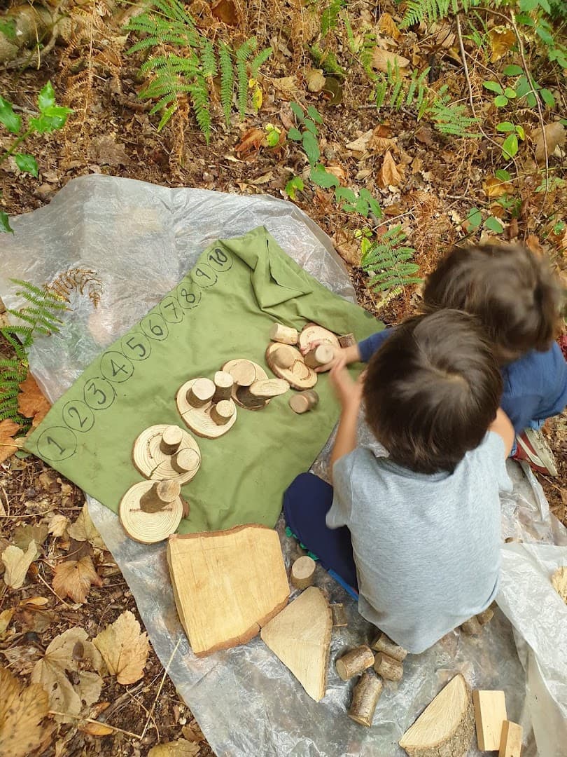 Roaming Wild Forest School 6