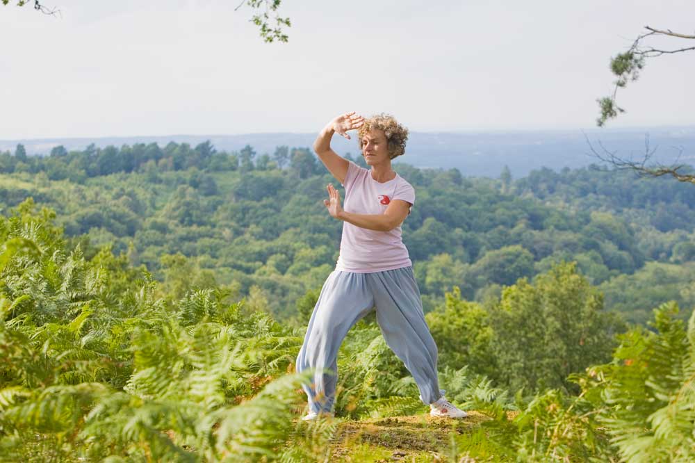 Surrey Hills Tai Chi 3