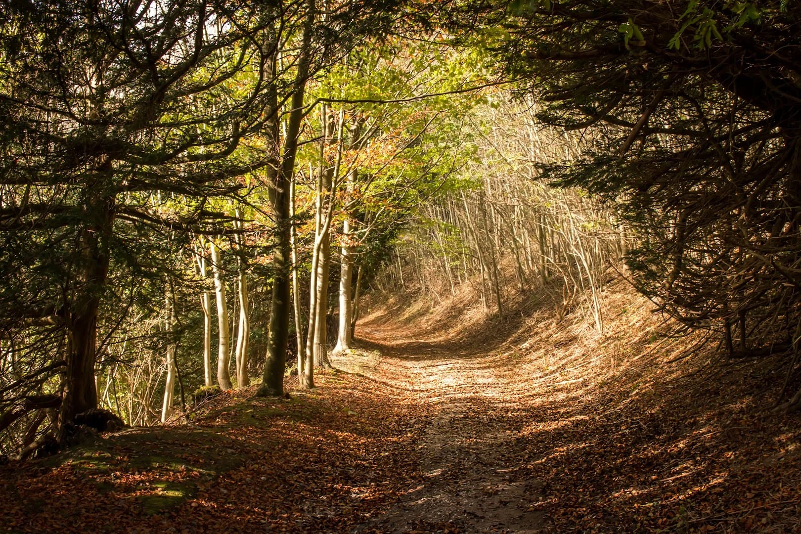 Waggoners Campsite 2