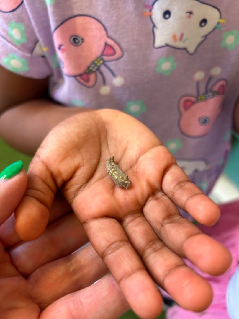 St Peter's Nursery 10