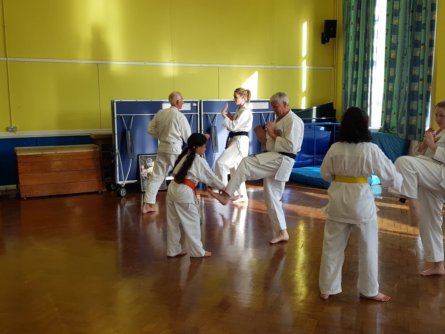 Meibukan Bu-Jutsu Ryu Karate Do 3