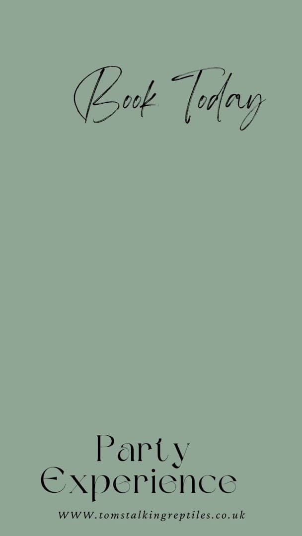 Tom's Talking Reptiles 3