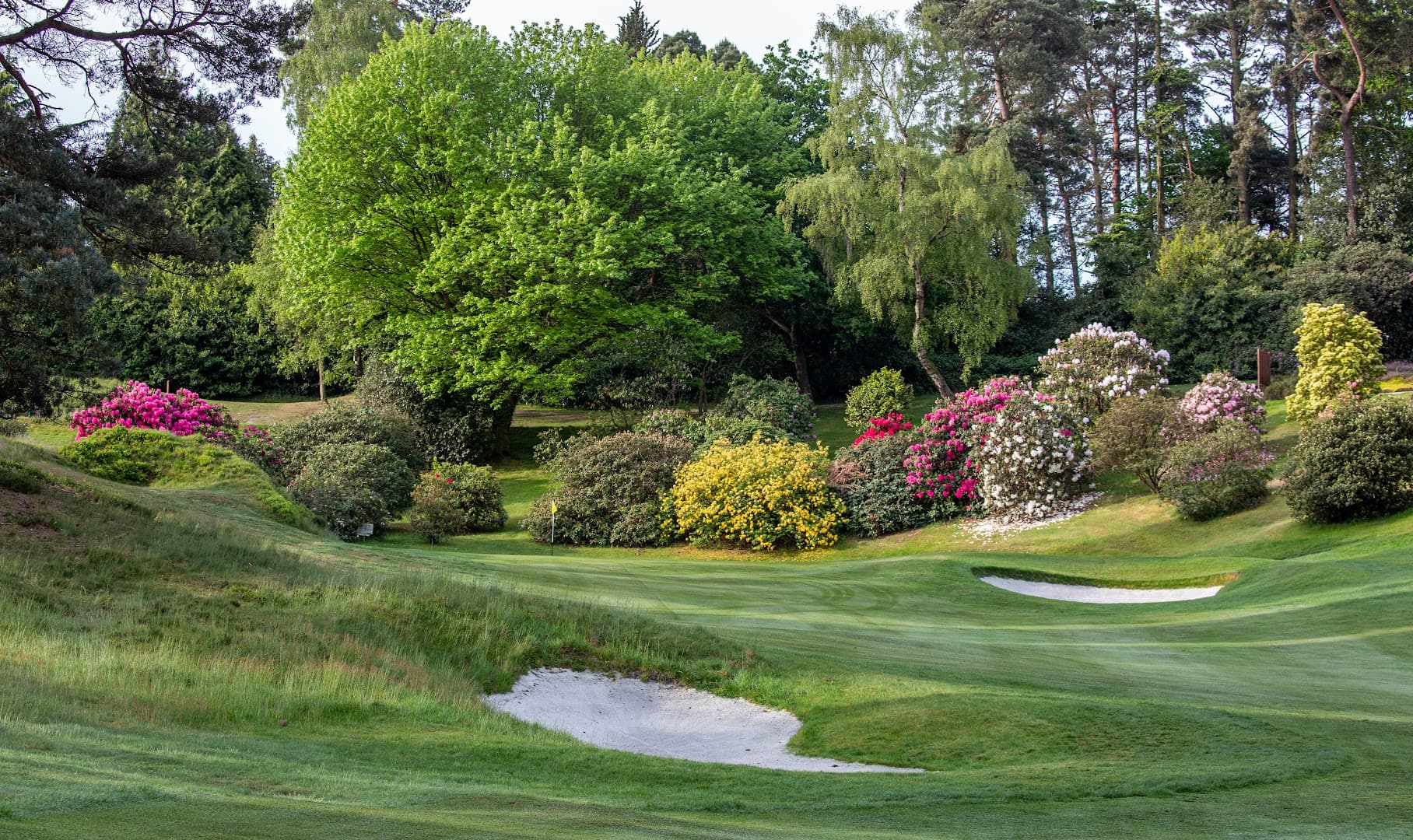Hindhead Golf Club 2