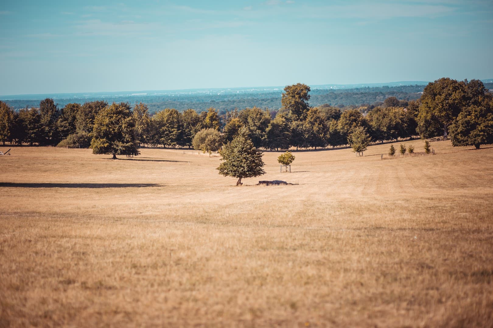 Embers Camping - Polesden Lacey 5