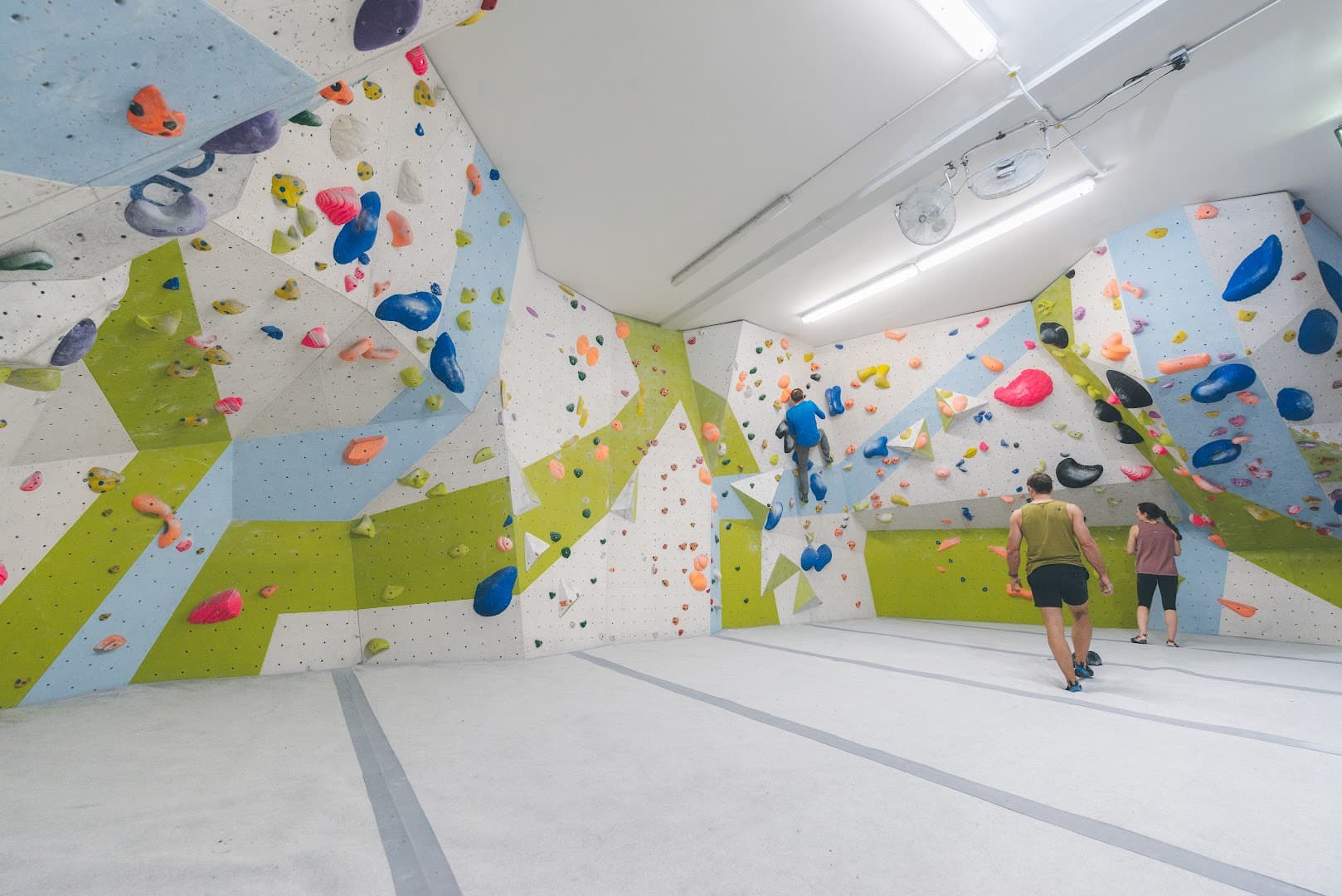 Blue Spider Climbing 2