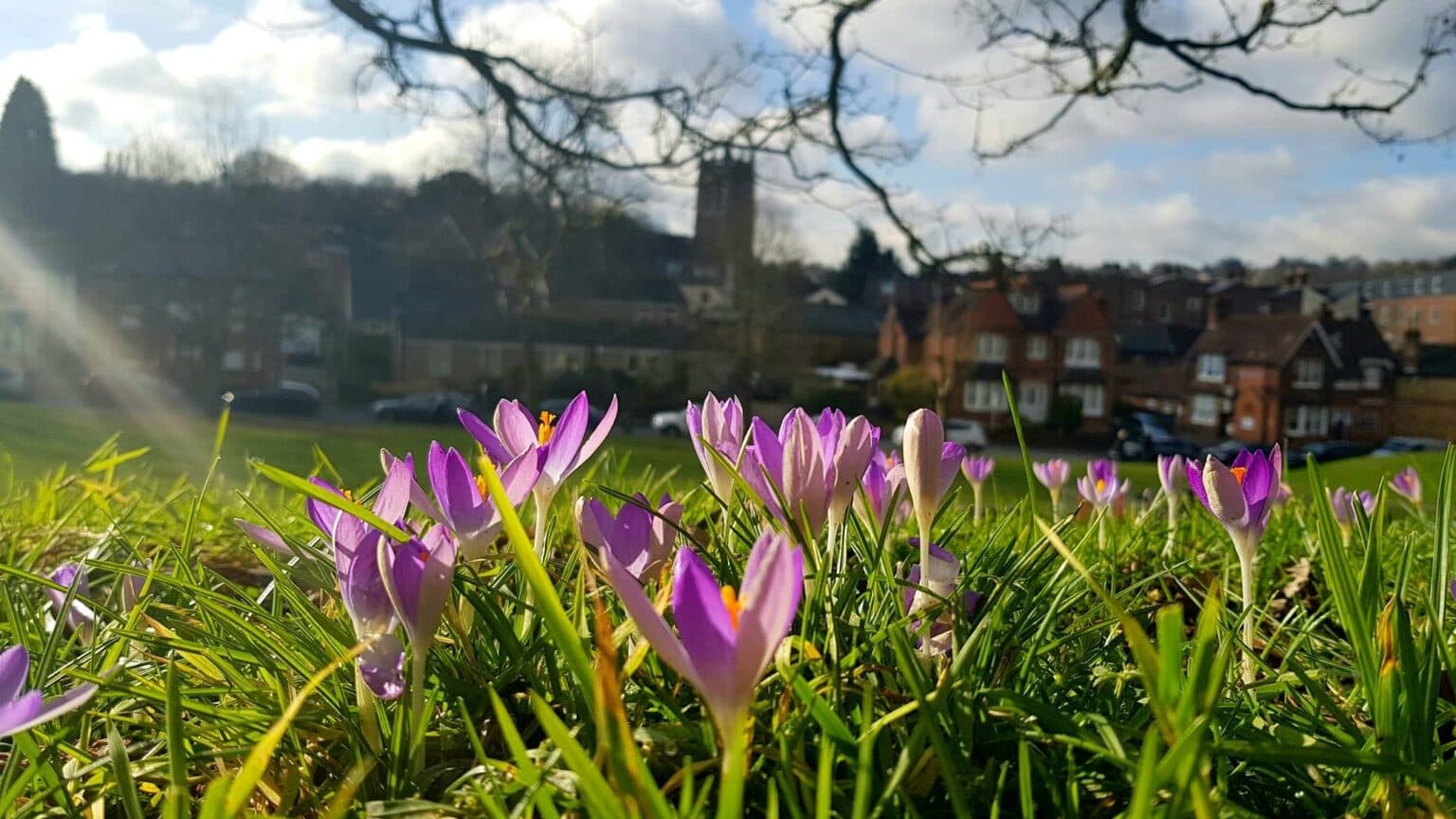 Timber Hill Play Area 8