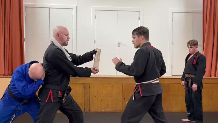 Kaizen Martial Arts 2