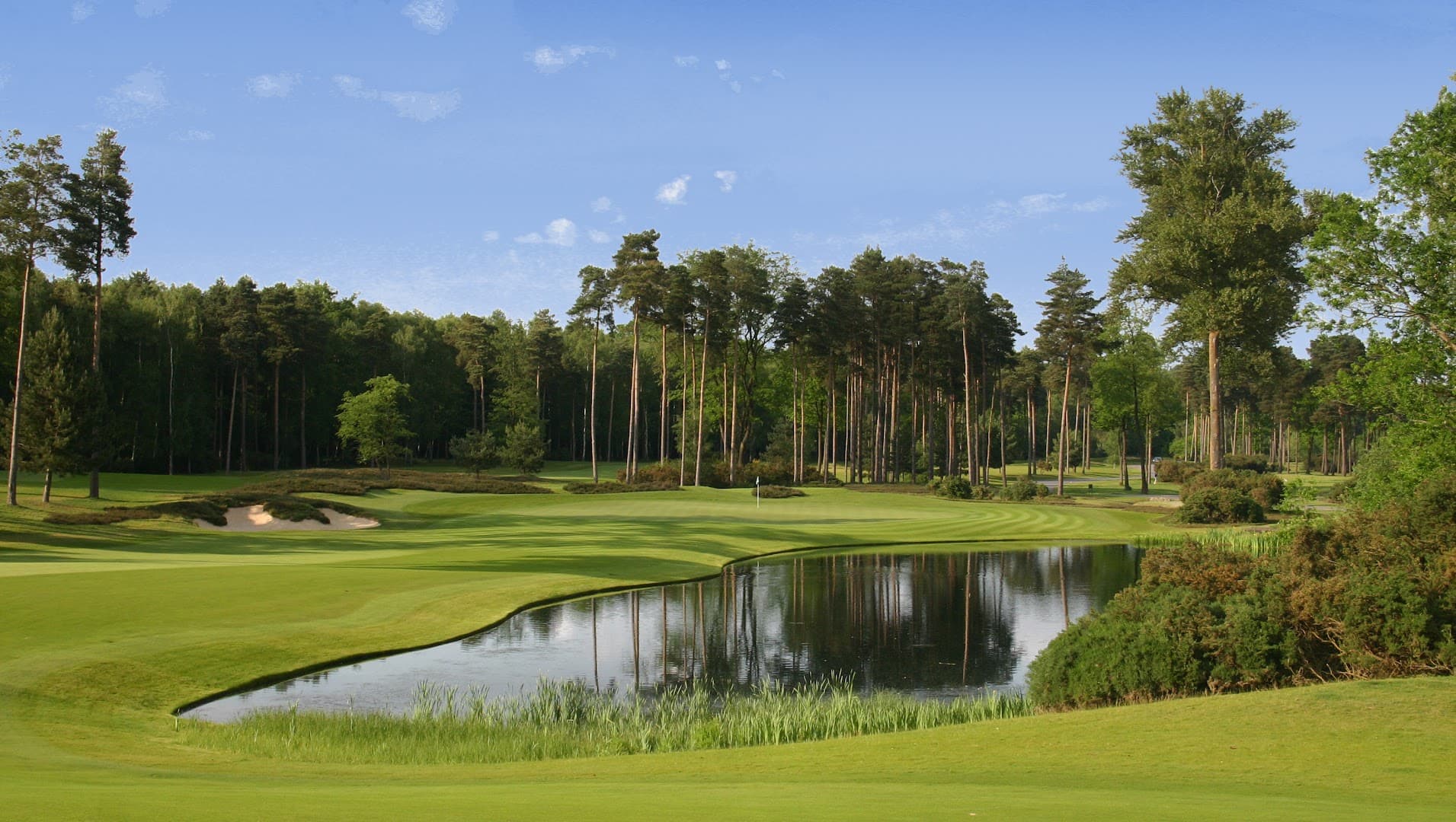 Queenwood Golf Club 2