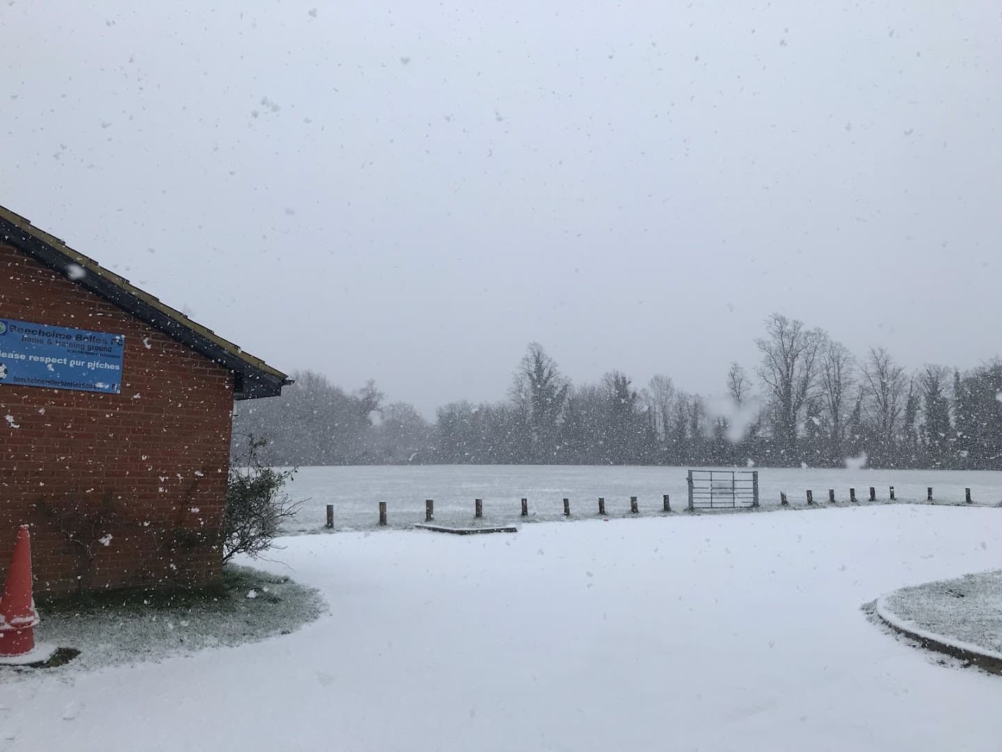 Beecholme Belles Banstead 3