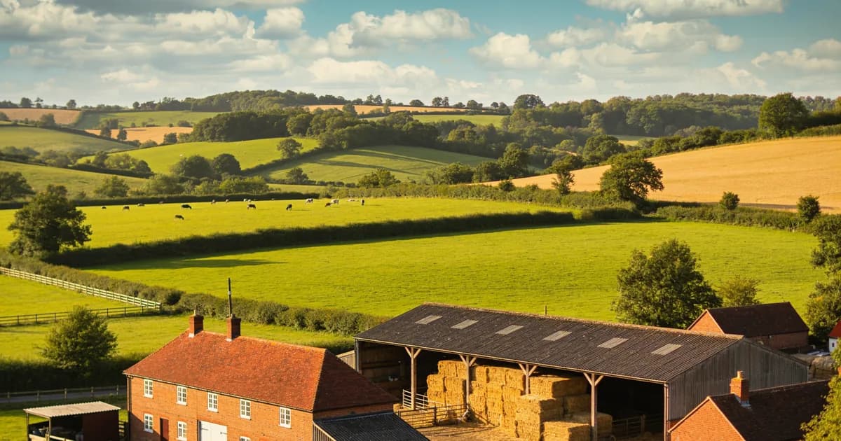 Bocketts Farm Park in Fetcham, Surrey — rolling green fields, red brick farm buildings and tractor on a sunny summer afternoon