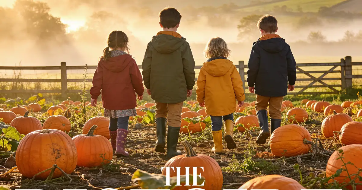 Autumn Halloween scene with pumpkins and children in a Surrey field, Halloween activities children near me Surrey, families